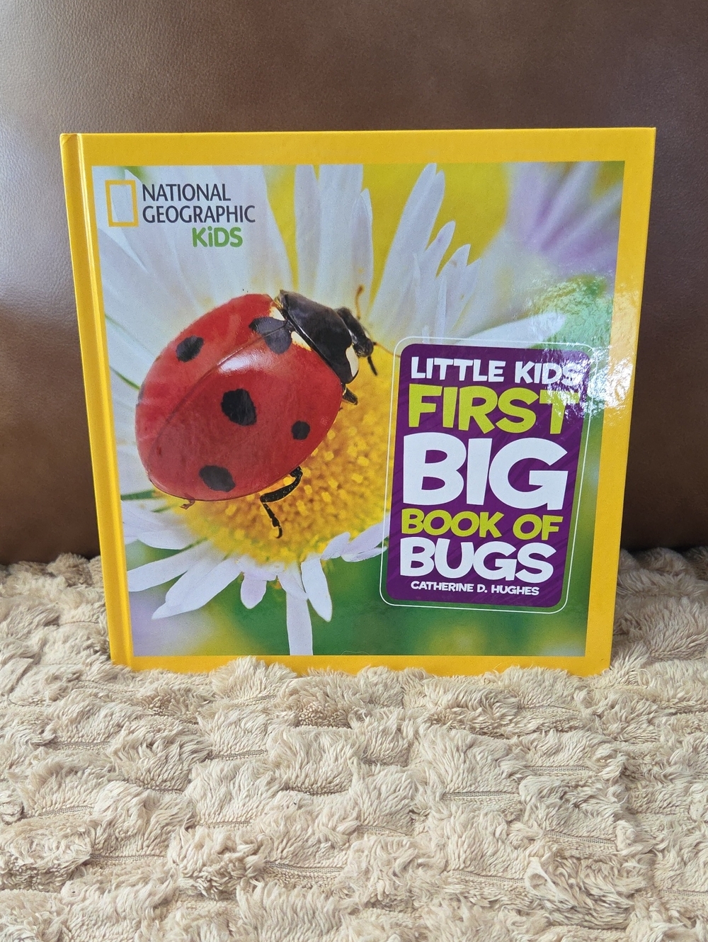 National Geographic Kids First Big Book of Bugs - Yellow and Red Cover